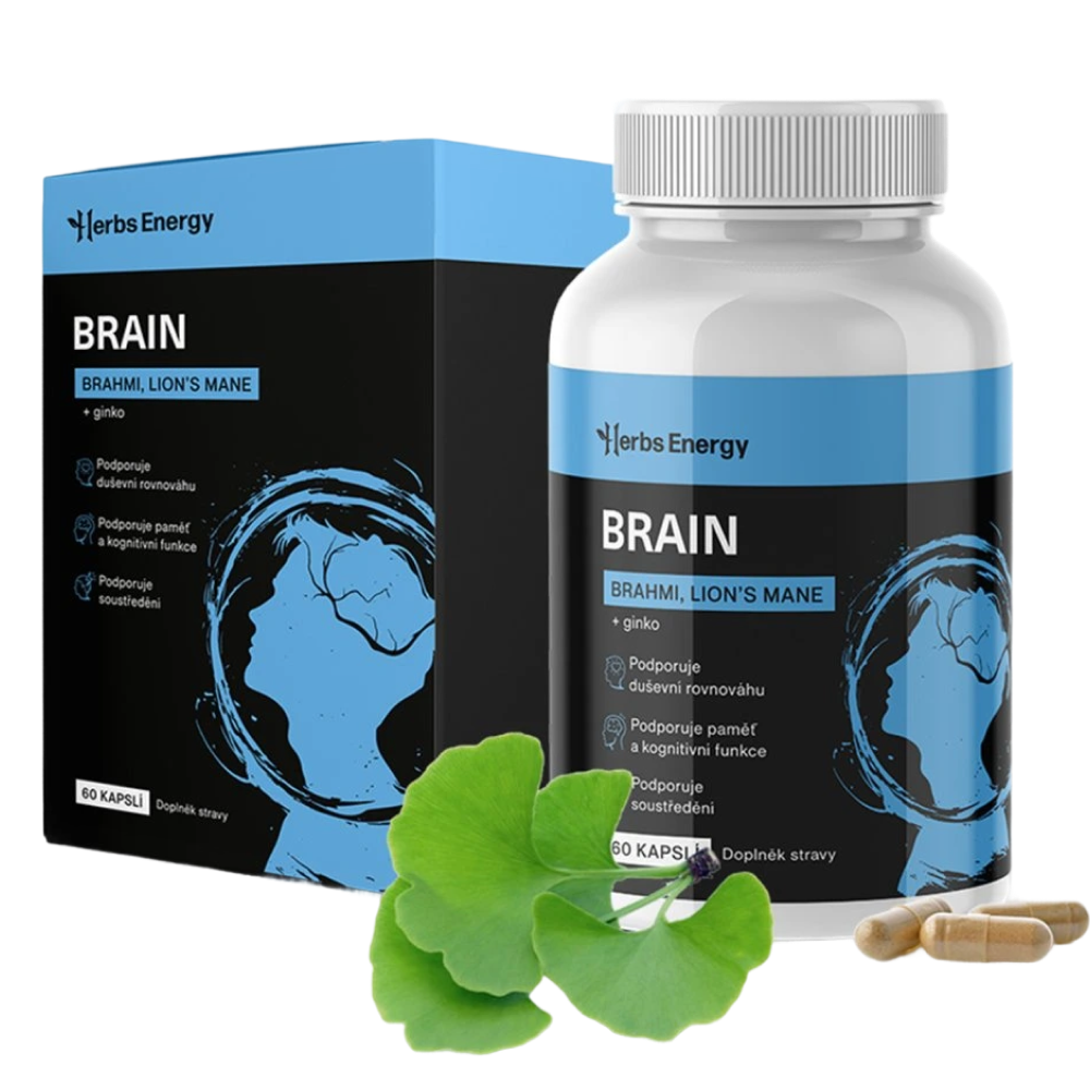 web-brain